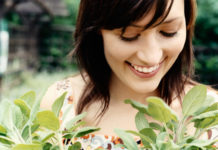 Salvia 748 0 086 Salvia